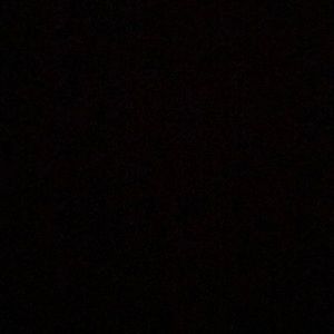 Meet your Posher, Audra